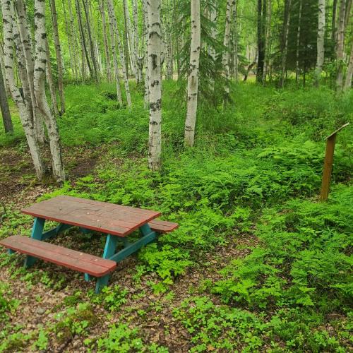 Houston Other | Houston Grass Station Campsite #14