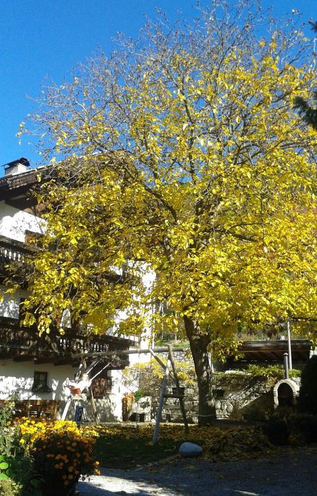 Bressanone Apartment | Huberhof