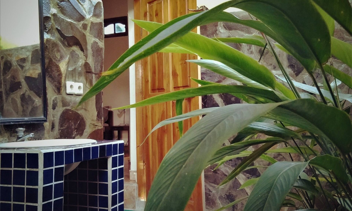 Anturan Bed & Breakfast | Huge room with open bathroom overlooking rice fields