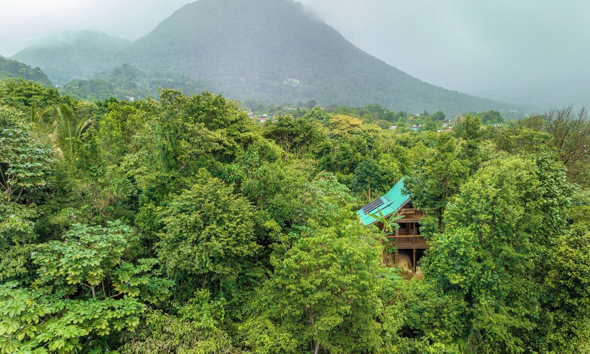 Laudat Cabin | Hummingbird Haven