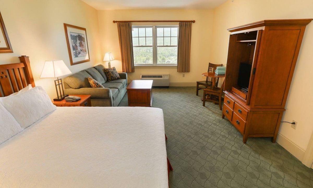 Hunter Apartment | Hunter Mtn Deluxe Studio | Fireplace & Kitchen