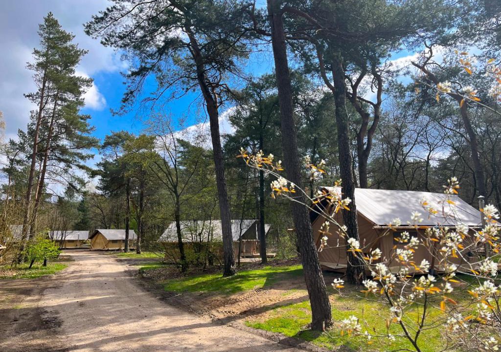 Kootwijk Other | Huttopia De Veluwe