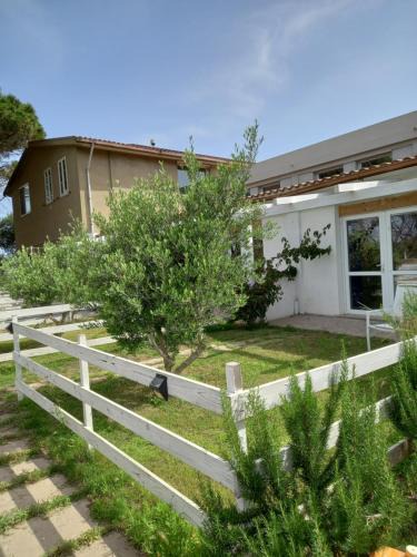 Calasetta Hotel | I tre schen