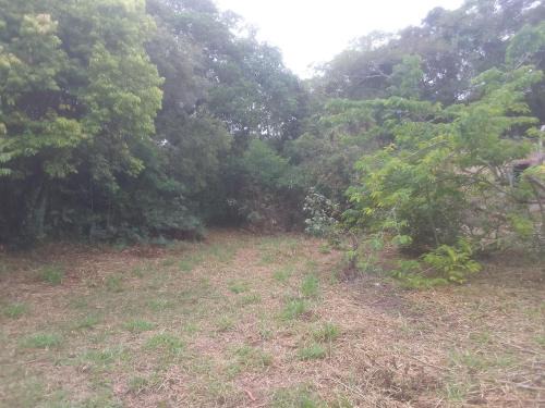 Alto Arroio Other | Ibira Camping