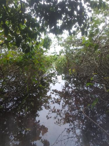 Alto Arroio Other | Ibira Camping