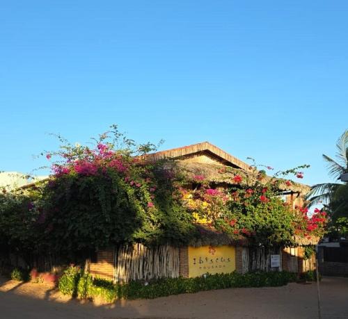 Jijoca de Jericoacoara Hotel | Ibiscus Pousada sem café