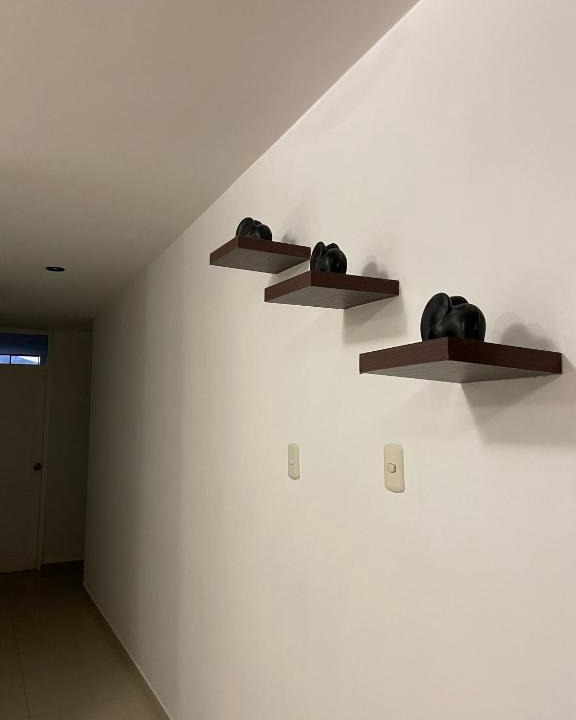 Ica Apartment | Ica home