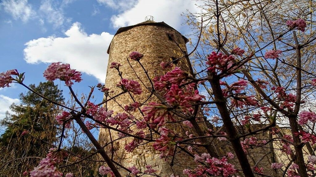 Weinheim Apartment | Idyllic and centrally located apartment in Weinheim, near the castle park and market square