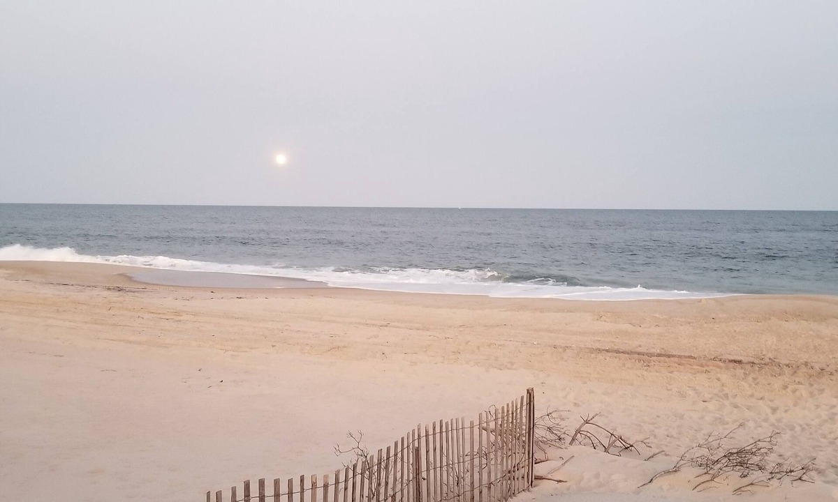 Bayberry Dunes Cottage | Idyllic Cozy Cottage in Davis Park, Fire Island - Weekly Rentals Now Available!