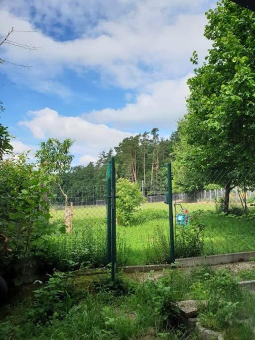Buechenbach Apartment | Idyllische Ferienwohnung im Grünen