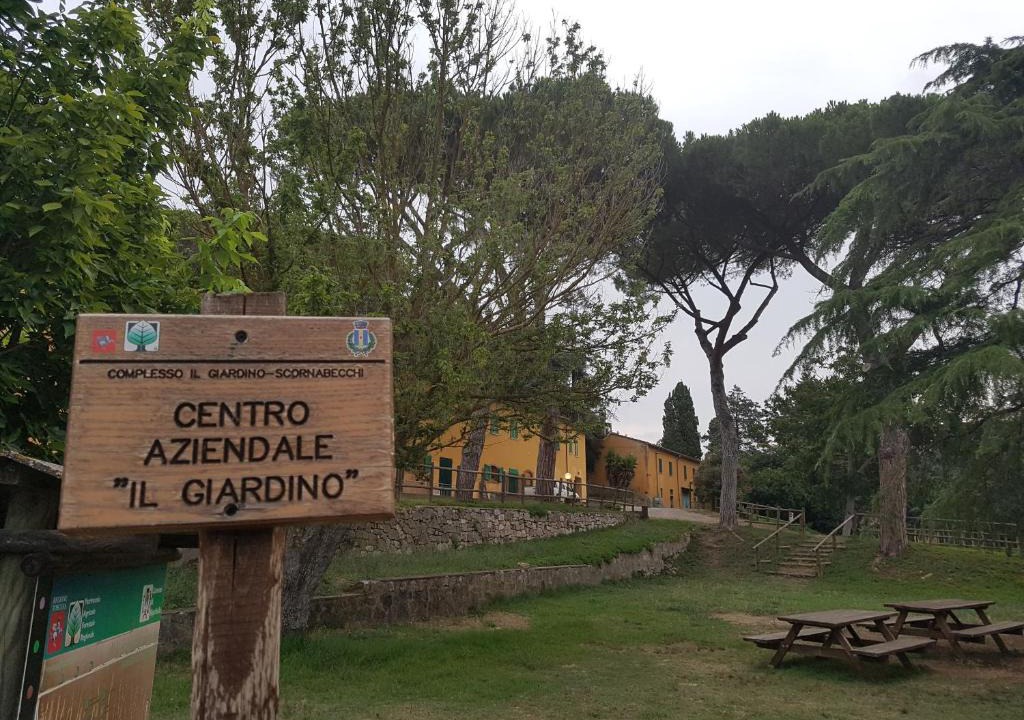 Cecina Apartment | Il Giardino