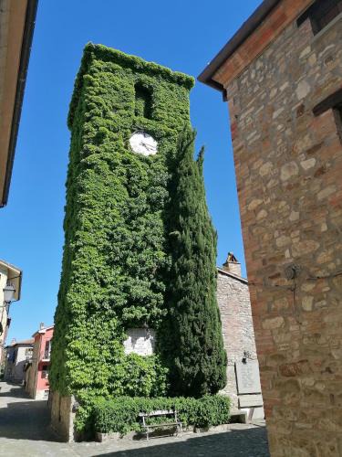 Frontino Apartment | Il Grottino