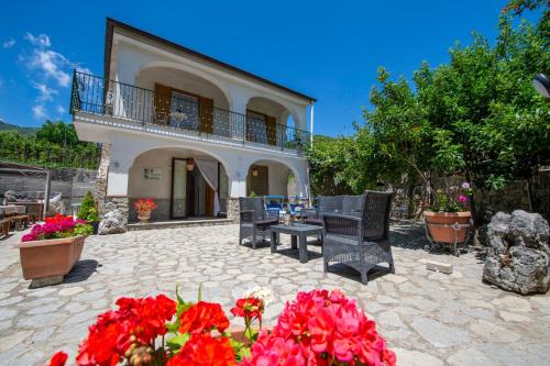 Tramonti Villa | Il Vigneto