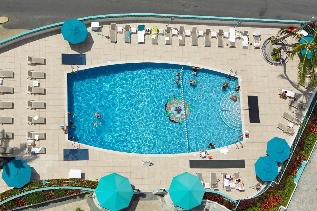 Waikiki Hotel | Ilikai Lite