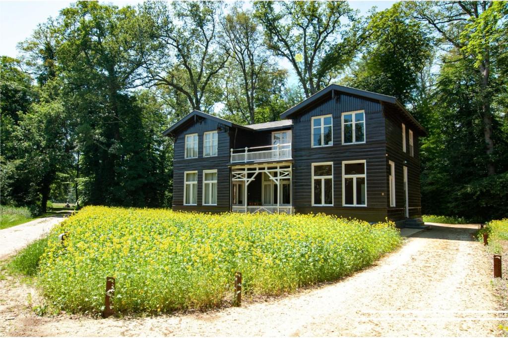 Wilp House | In het huis van Bello