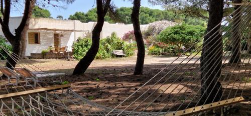 Favignana Villa | In Pineta al Mulino 4
