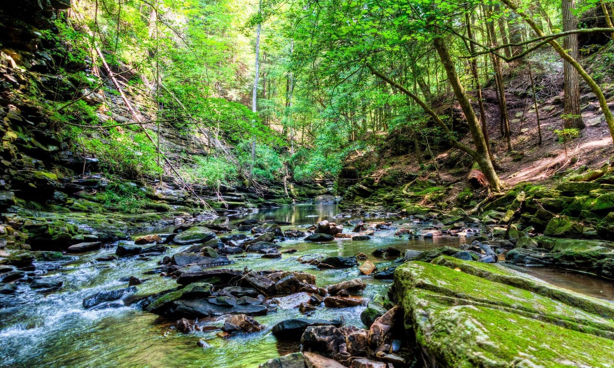 Monteagle House | In The Pines -Bluff View in Monteagle!