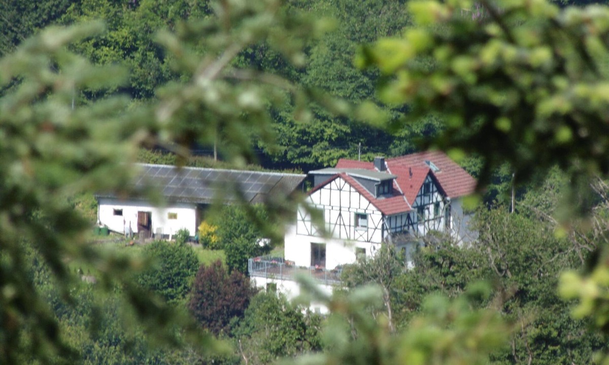 Waldbreitbach Apartment | in Waldbreitbach mit Whirlpool by Interhome