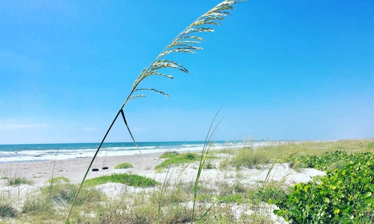 Crescent Beach Condo | INCREDIBLE Direct Oceanfront 2 BR Condo! Waterfall Countertops, Luxury Feel!