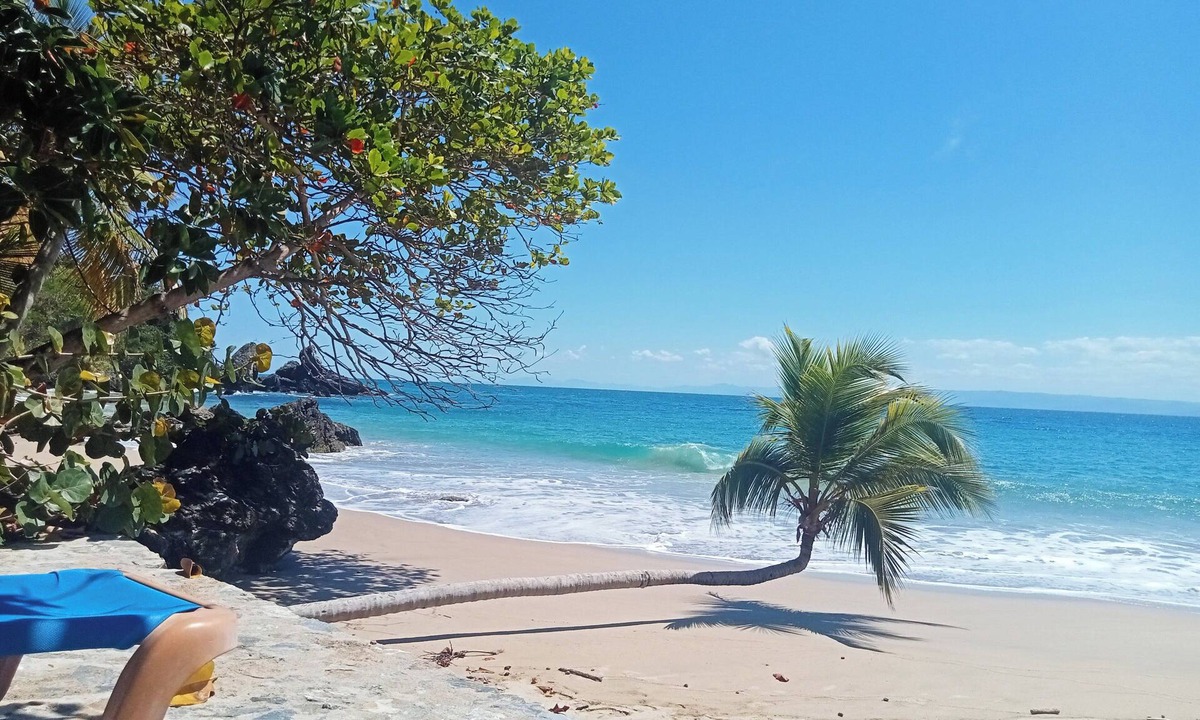 Samana Apartment | Incredible Samana bay view.Apartment in Private and Prestige residence