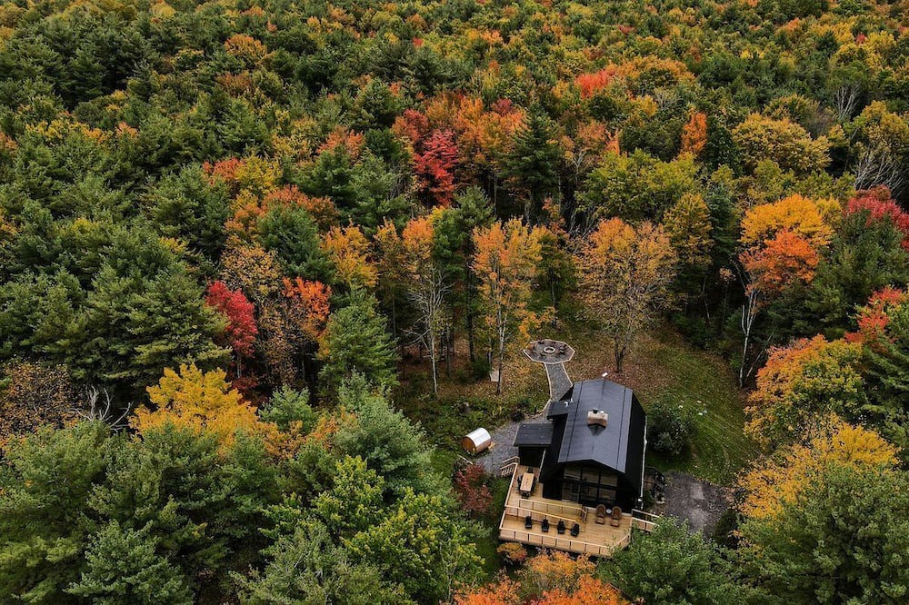 Hammondsport Cabin | Incredible Secluded Cabin with Barrel Sauna, Fire Pit and Deck for an Unforgettable Getaway in the Finger Lakes in New York