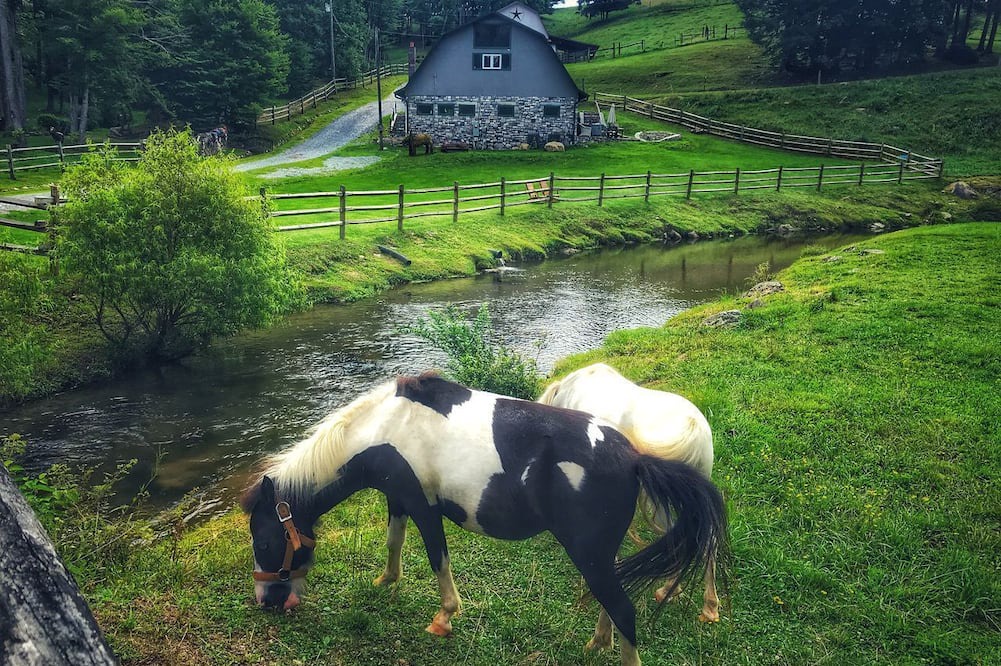 Sugar Grove Cabin | Incredible Secluded Barn with Hot-tub and Petting Zoo in Sugar Grove, North Carolina