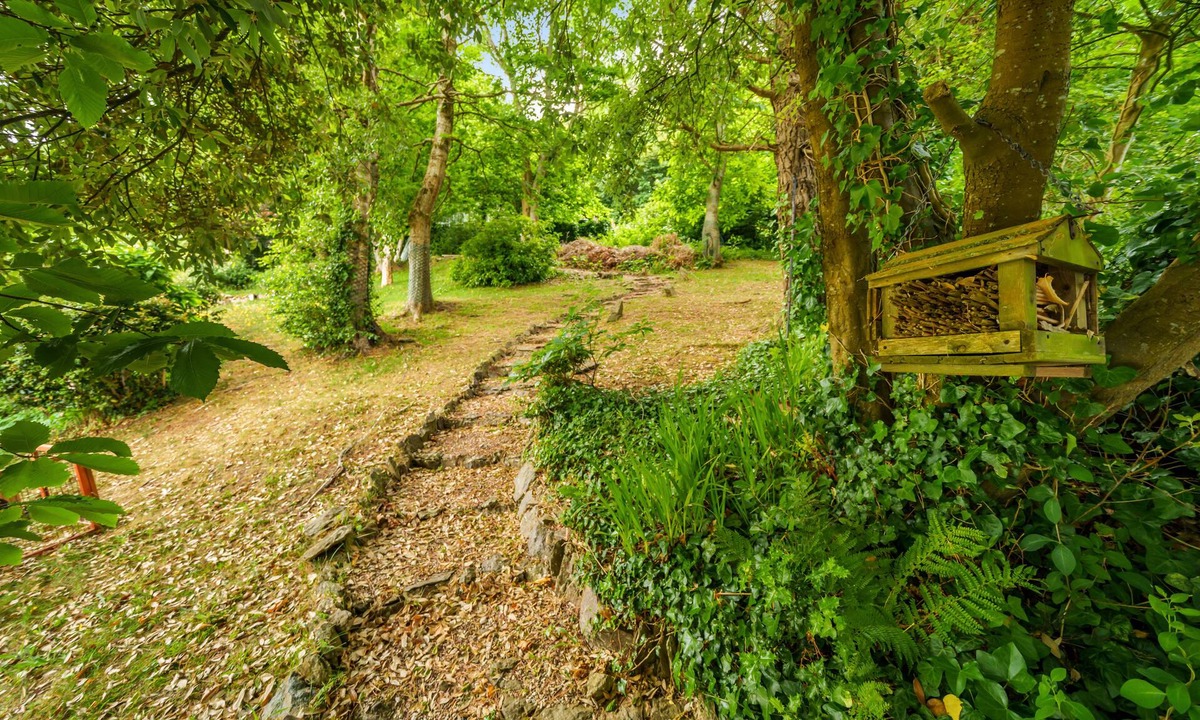 Lynton House | Ingleside Guest House