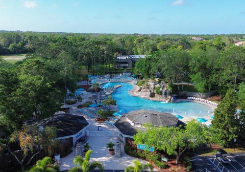 Palm Harbor Resort | Innisbrook Resort