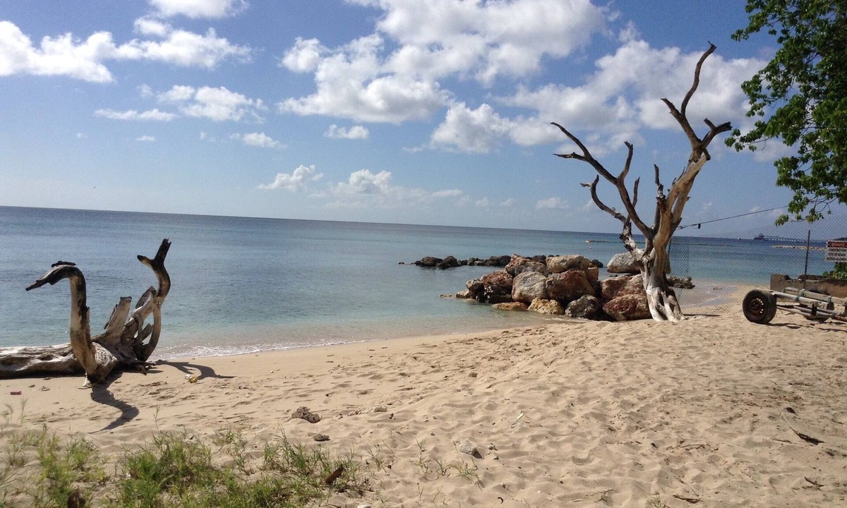 Mount Brevitor Apartment | Intimate Heywoods beach property with a flowering garden