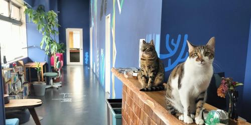 Toyama House | Iruka Hostel