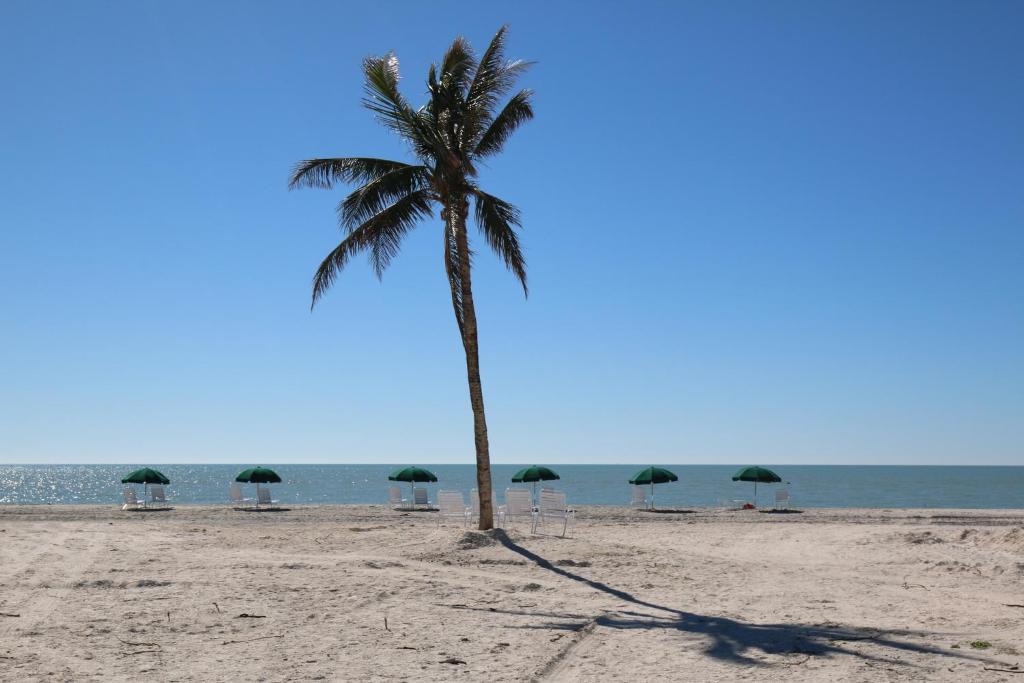 Sanibel Hotel | Island Inn