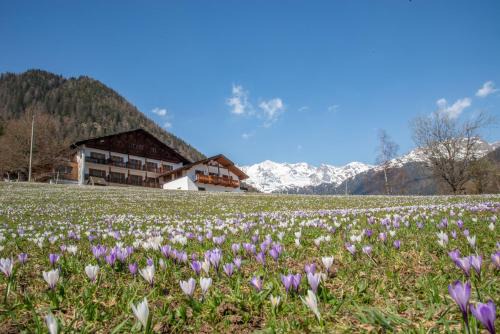 St. Gertraud Hotel | Hotel Ultnerhof