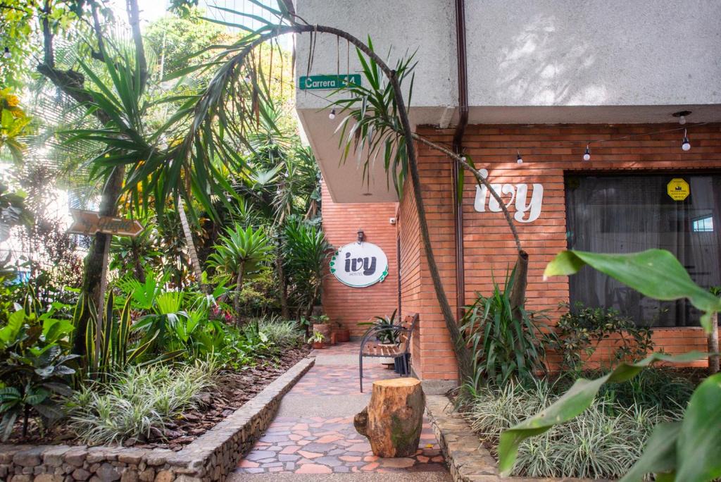 La Aguacatala Hostel | Ivy Hostel