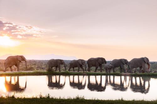 Thorny Bush Game Reserve Cabin | Jabulani Safari Relais & Chateaux