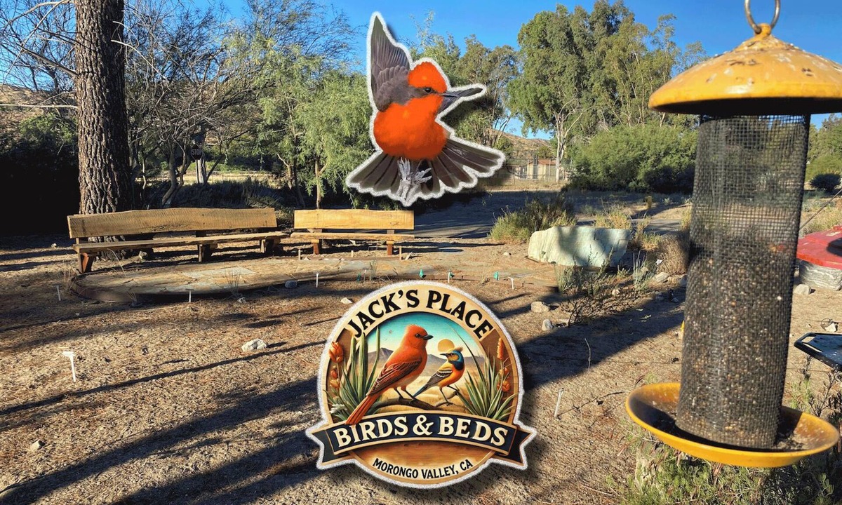 Morongo Valley House | ~(‾▿‾)~ Jack's Place ~ Birding Bliss & Cozy Beds Await!