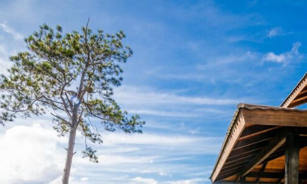 Jarabacoa Cabin | Jarabacoa Villas Ecolodge