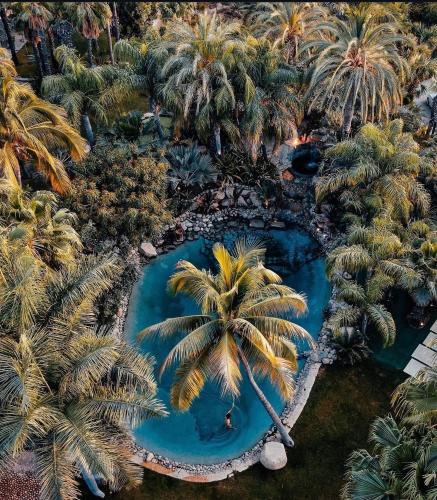 San Jose del Cabo Villa | Jardín Tropical Exclusive Villas