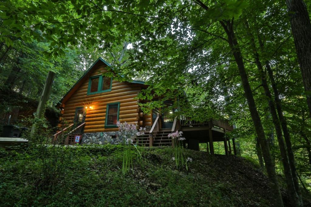 Ellijay House | Jesse`s Place