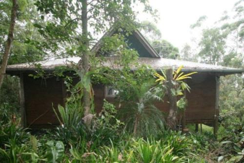 Beechmont House | “Jinwhi”