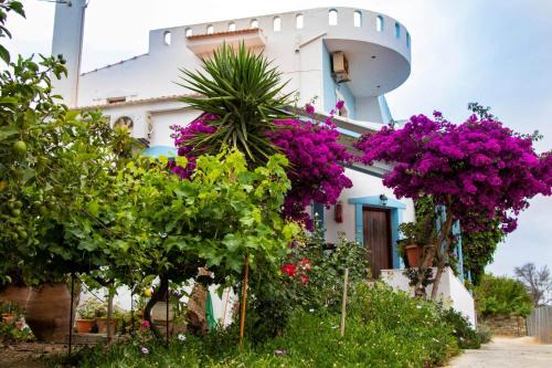 Pitsidia House | Jodi's Pension