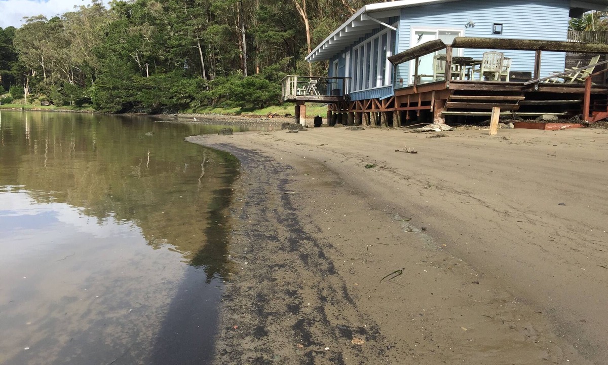 McDonald Apartment | Joe's Studio on Tomales Bay, Bleu Bay Cove, Marshall, Pt Reyes National Park