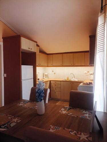 Argostoli Town Apartment | John's Apartment 4 in Argostoli