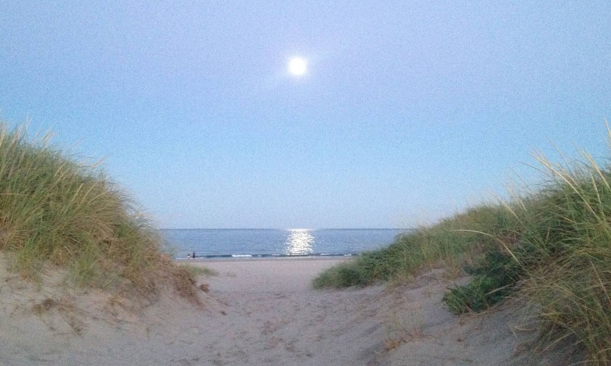 Hampton Apartment | July, August and September Dates Available!
