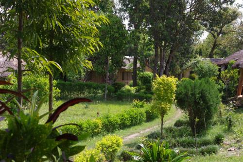 Bardia House | Jungle Base Camp