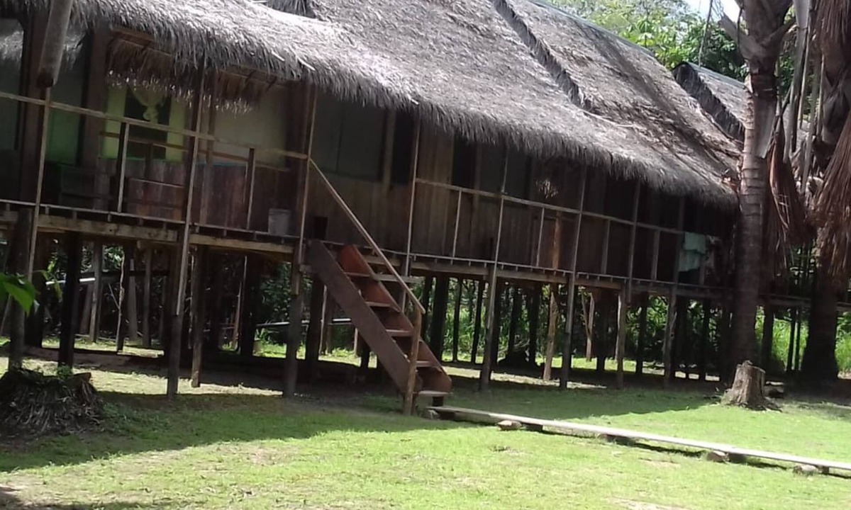 Iquitos House | Jungle Reps
