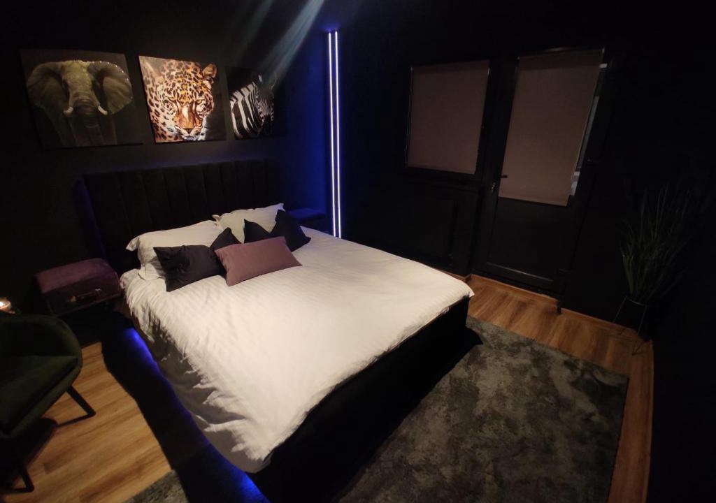 Braila Apartment | Jungle Studio BRAILA