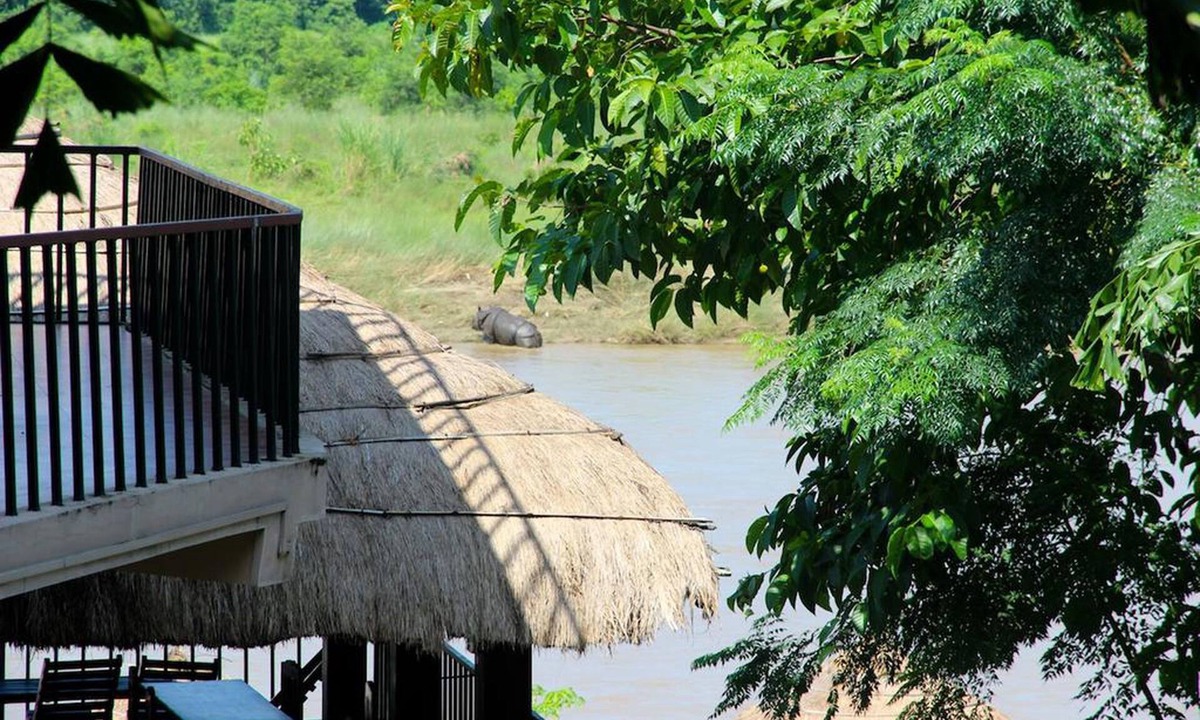 Sauraha Hotel | Jungle Sunset Camp