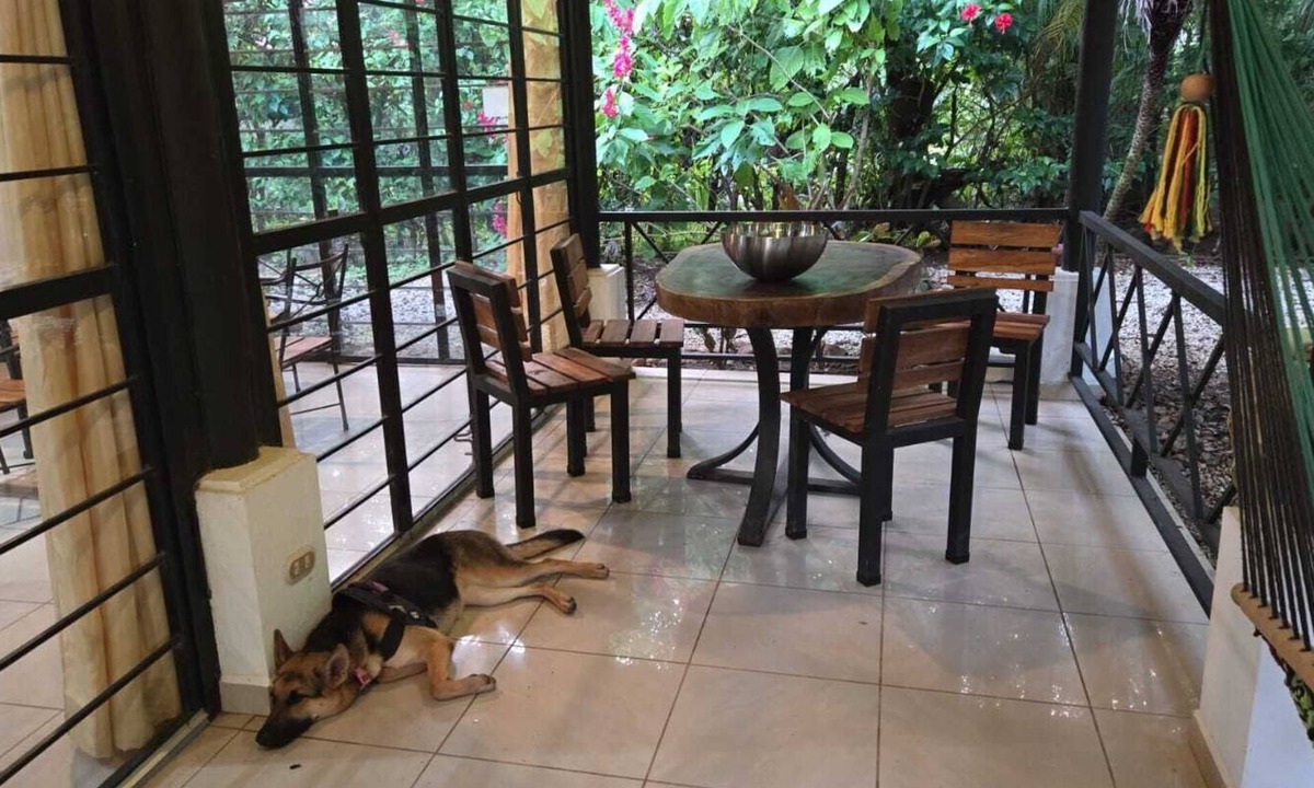 Nosara House | Jungle surf monkey
