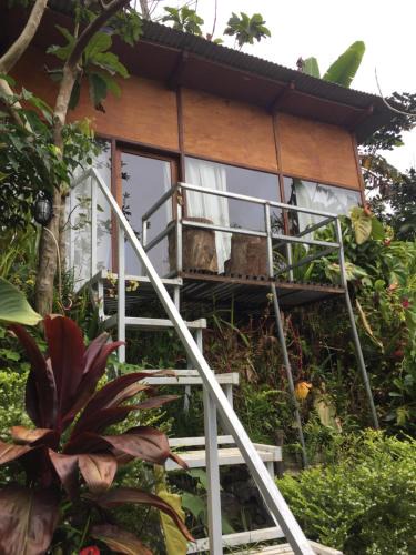 Candikuning Other | jungleadventure cabin camping