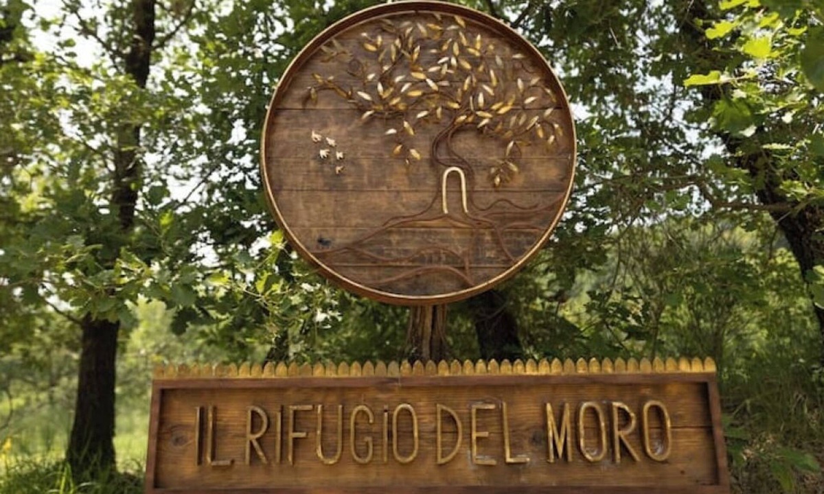 Subbiano Apartment | Juniper Apartment - Relax, Nature and Panorama with Private Pool